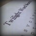 Twilight Word Search and Find digital download pdf