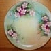 Vintage hand painted plate