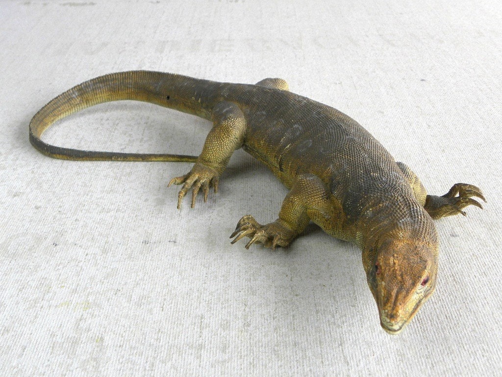 monitor lizard plush