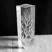 Crystalline Entity Tree Etched on Acrylic by Galvan