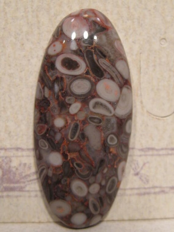 Fossil Jasper Cab...... 34 x 16 x 6 mm thick.....