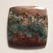 Prudent Man Plume Agate cab ... 26 x 26 x 4 mm thick 543