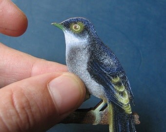 bird brooch - fretful bird pin