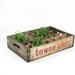 Vintage Wood Crate Wooden Box Towne Club Soda Pop Crate Shadow Box Display Shelf