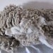 Targhee Polypay Cross Raw Unwashed Sheep Wool Fleece Number 2008 "Marshmallow"