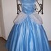 Blue Sparkle Satin and Embroidered Organza Custom Cinderella Ball gown Dress ADULT