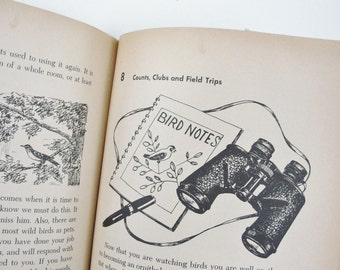 Vintage Book, Vintage Childrens Bird Book, Golden Adventure Book, 1950s, Natural History Book, William Jerr