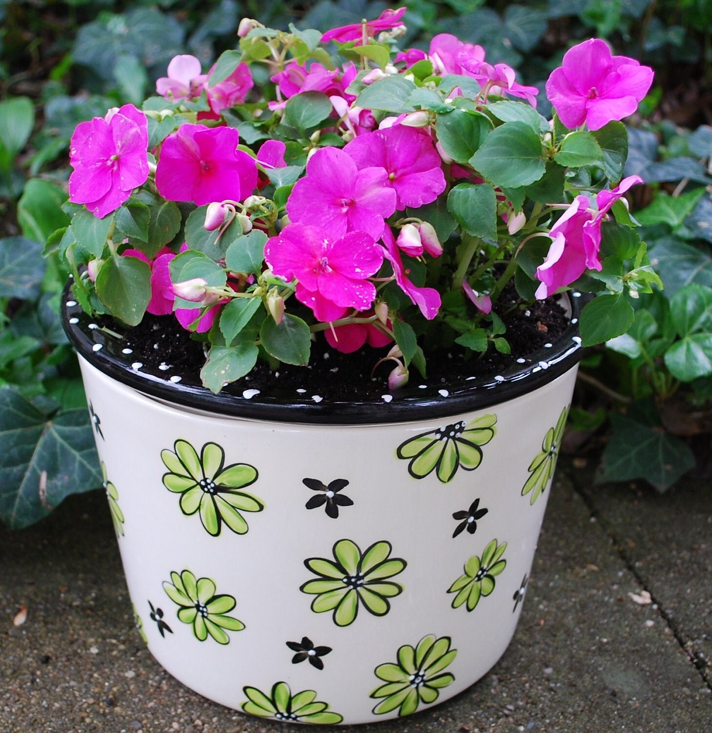 Large Selfwatering African Violet Pot