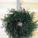 SIMPLE Preserved Sweet Annie Wreath - Green - Primitive Home