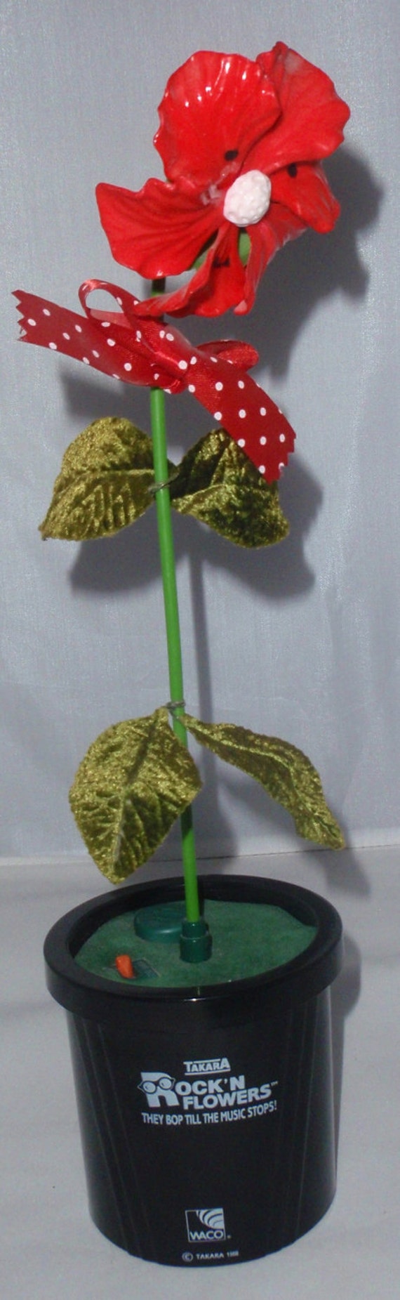 Takara Rock N Flower They Bop Till The Music Stops