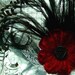 diabolique- vintage crimson velvet flower, feather and silk veiling headpiece