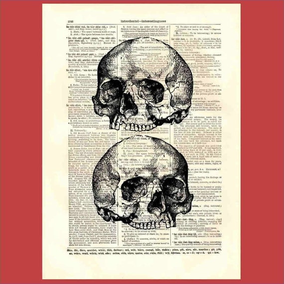 Vintage Twin Jawless Skulls skull3x2 upcycled 8x10 1898