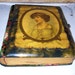 Stunning Victorian CELLULOID ALBUM Velvet Rose Fabric Ten Cabinet Photos