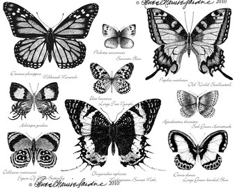 Popular Items For Butterfly Black On Etsy