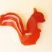 Squirrel Button.Japanese Supplie