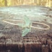 Egyptian Goddess Patina Brass Bangle