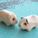 Albino Guinea Pig Cavy Miniature Terrarium Figurine-set of 2