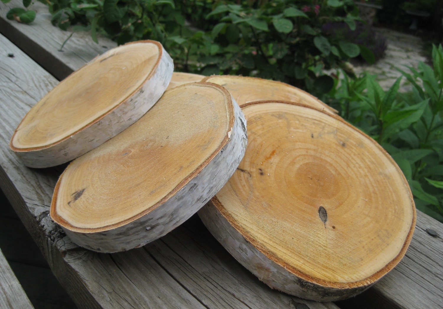 12 Birch Bark Tree Wood Slices Rustic Natural by BirchHouseMarket