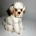 Relpo Poodle planter