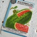 Antique seed packet 1934 Florida Favorite Victory Garden watermelon excellent conditon Free shipping to USA