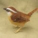 Carolina Wren, needle felted bird, made to oorder