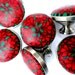 FOR CANDACE 25 Dark Red Cabinet Knobs Clay and Brushed Nickel