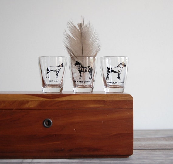 Vintage Horse Shot Glasses / Equine Theme Barware / Horsey Set