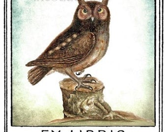The Littlest Owl Bookplates (Personalized or Blank)