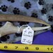 2 piece SMALL Deer Antler Dog Chews, J-S5