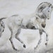 Dressage Horse Painting -Flying Changes 28 x 22