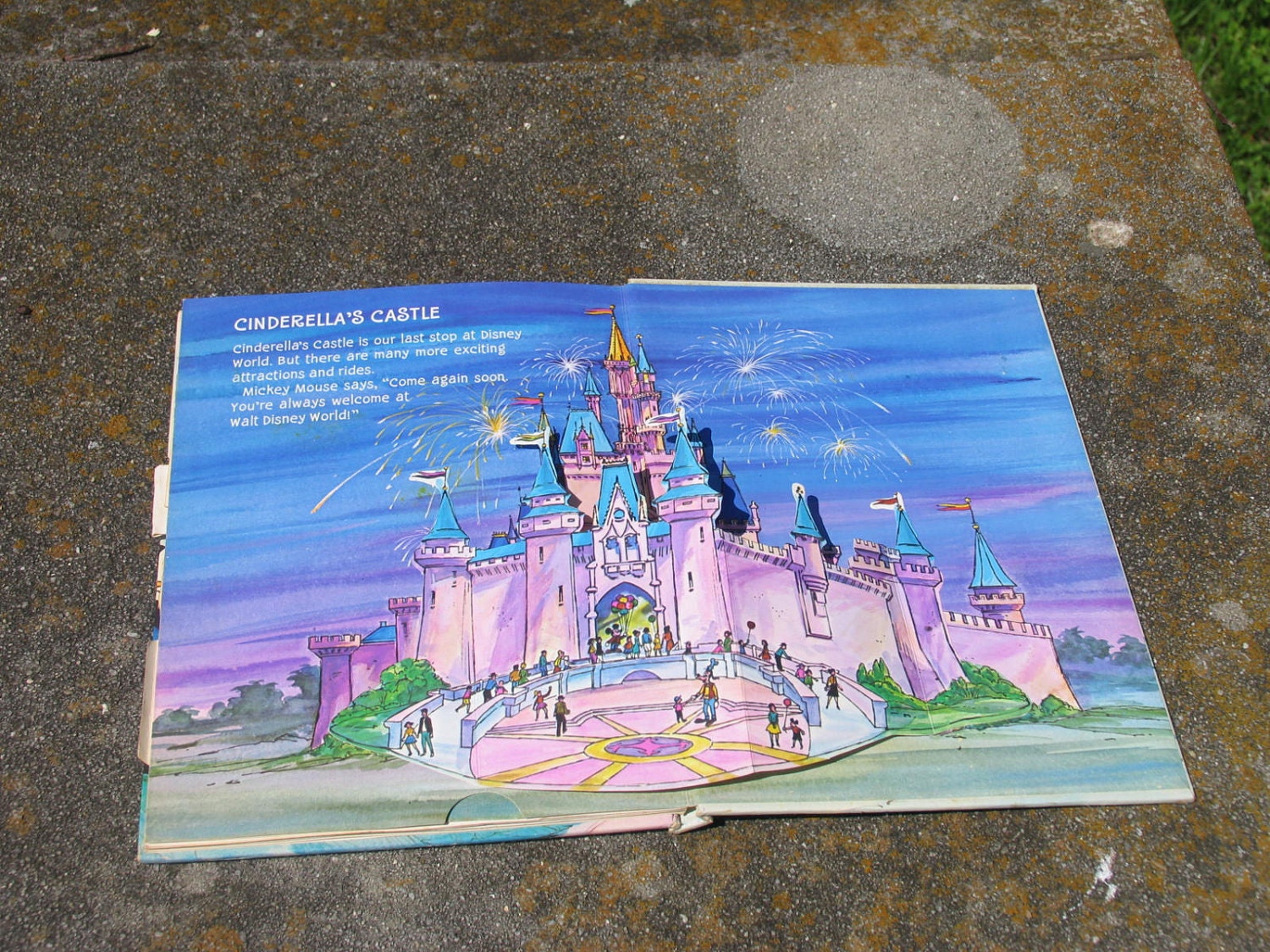 disney world pop up book