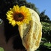Sunflower Yellow Cotton Hat