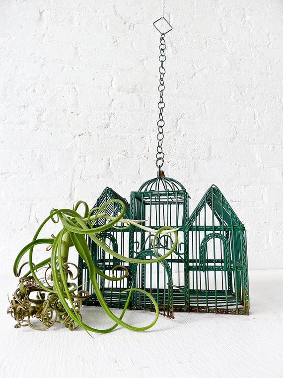 Bird Cage Air Plant Vintage Victorian Garden