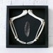 R.I.P Real Turkey Wing Skeleton Bone and Feather in Shadow Box