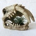 Saber Tooth Tiger Skull Air Plant Garden