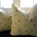 SALE...Pillow, Decorative Throw Pillow Cover, Designer Dragonfly and Ladybug Indoor Outdoor Pillow Cover 20 x 20