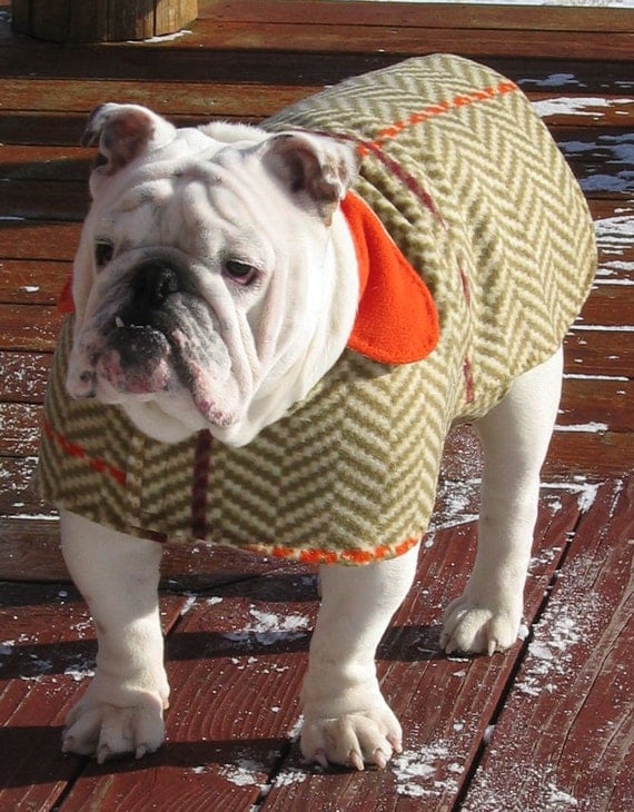 English Bulldog Reversible Coat Bulldog Custom Pattern