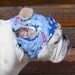 English Bulldog Hat-Dog Park -Dog Bones Hat-Custom Bulldog Pattern