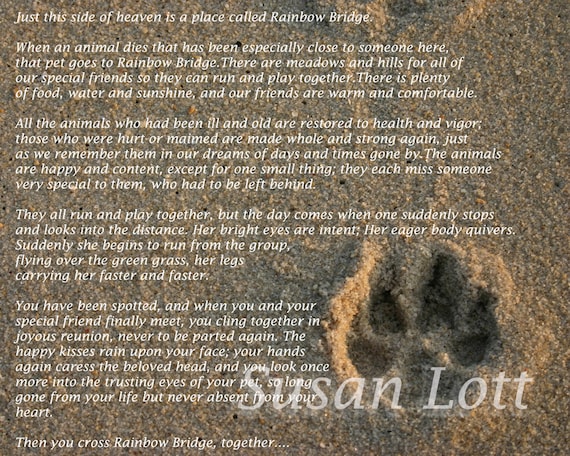 Rainbow Bridge Paw Print in the Sand 5x7 5 x 7 by ... Rainbow Bridge Paw Print in the Sand 5x7 5 x 7 by ...
