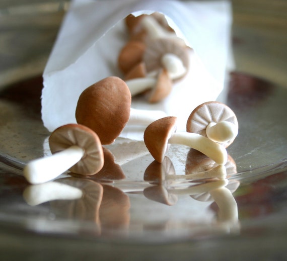Edible TINY Wild Candy Mushrooms of the by andiespecialtysweets