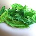 For Monika: Edible Sugar Leaves 65