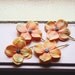 blossom hair pin set of four // woodland collection