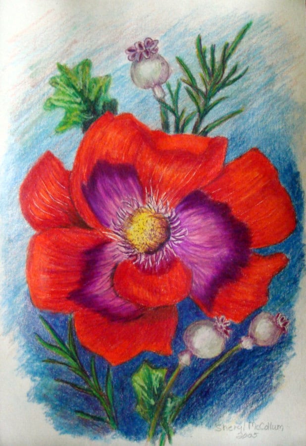 Red Flower Colored Pencil Drawing Painting 6 x 9 inch