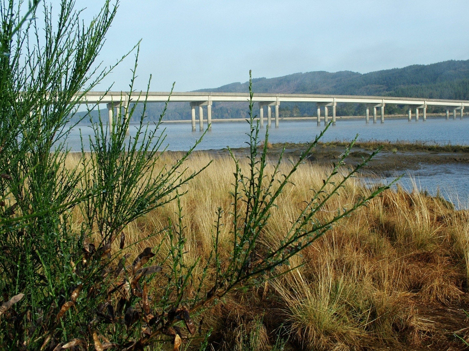 Bridege Over the Naselle Washington River by photosbysusan on Etsy