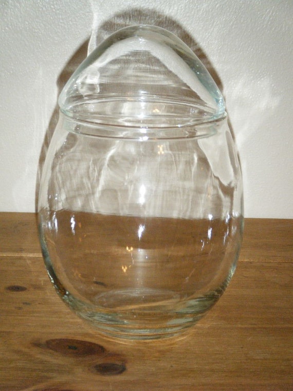Clear Glass Egg Shaped Apothecary Jar