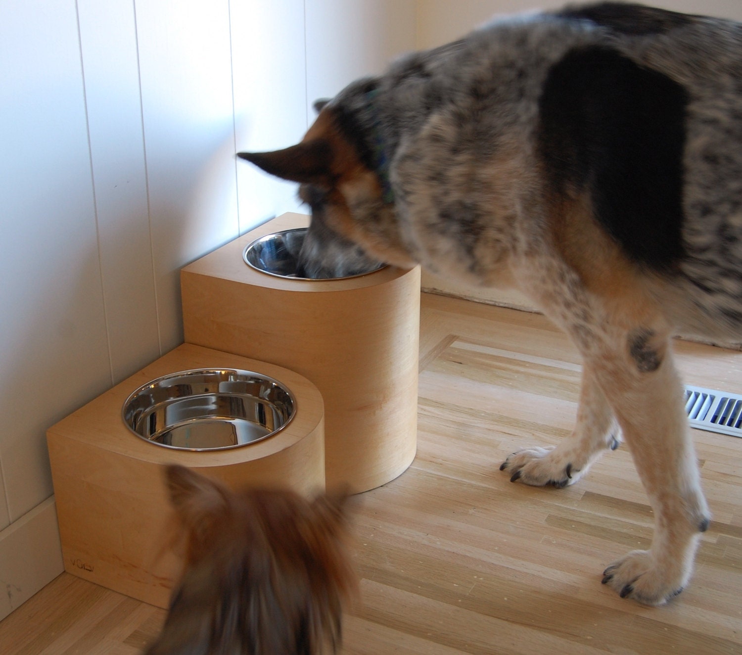 dog feeder for large dogs