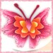 Butterfly Cane-Polymer Clay-Pink, Orange, Yellow,Tattered Wings
