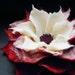 Red Cream Felt Flower Brooch