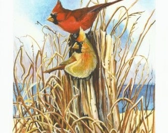 Magnolia Cardinal by northwindpines on Etsy