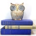 Instant Collection Vintage Book Bundle Purple and Stone